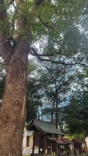日招八幡大神社(愛媛県)