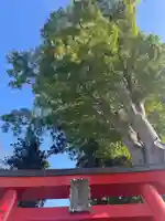 稲村神社(山梨県)