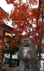 紅葉八幡宮(福岡県)