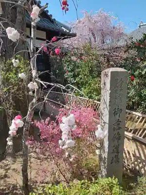 元慶寺(京都府)
