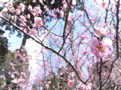 賀茂神社(福井県)