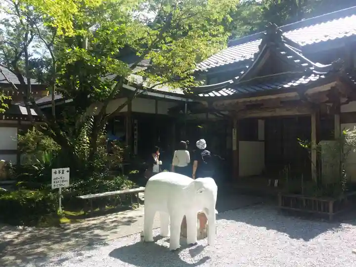 華厳寺の狛犬