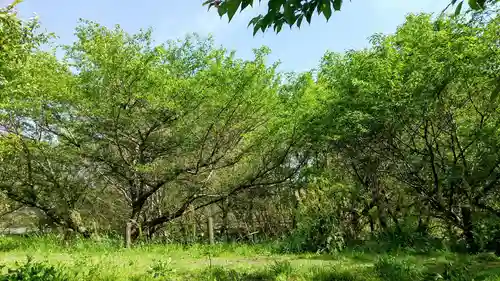 河獺弁天(史跡)(茨城県)