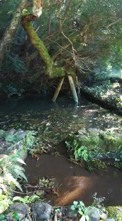 大生神社の自然