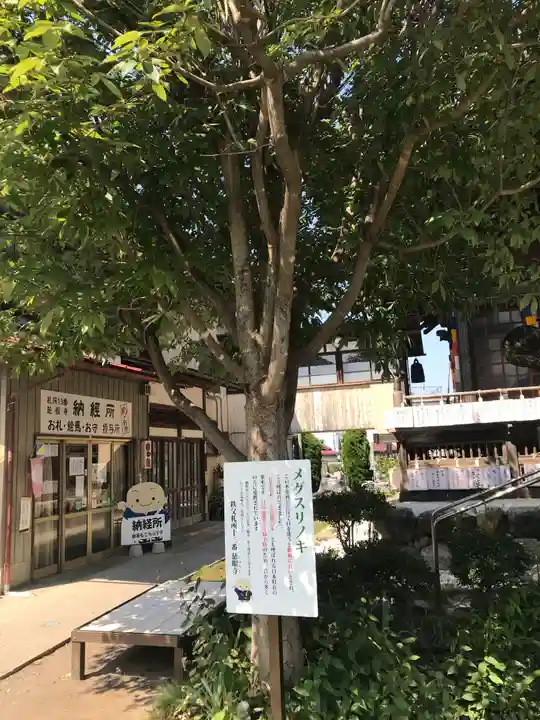 秩父札所十三番 慈眼寺の自然