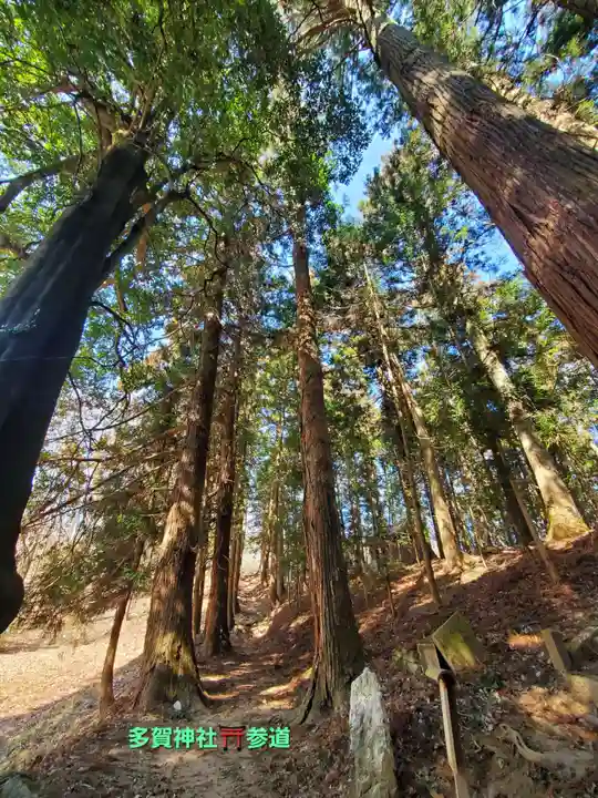 鹿島大神宮(福島県)