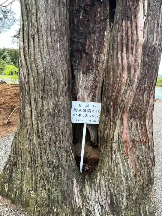 毛越寺(岩手県)