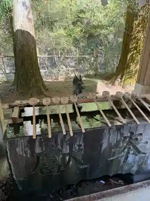 武蔵二宮 金鑚神社(埼玉県)