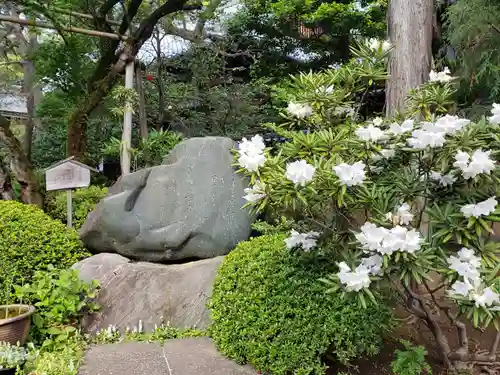 東長谷寺　薬王院のその他建物
