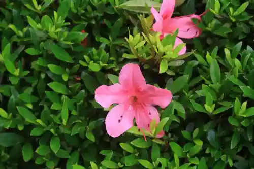 大鏑神社の庭園