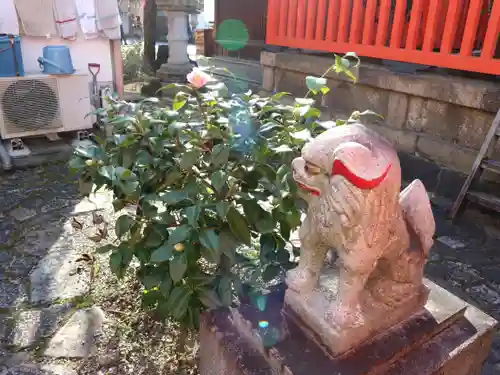 御霊神社の狛犬