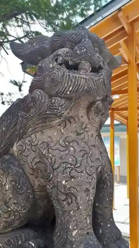 発寒神社の狛犬