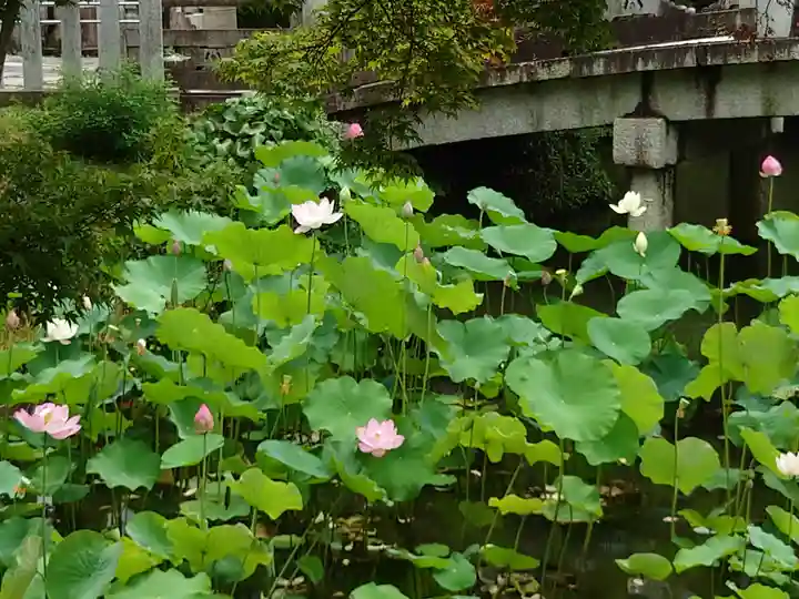 くろ谷 金戒光明寺(京都府)