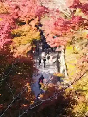 清水寺(京都府)
