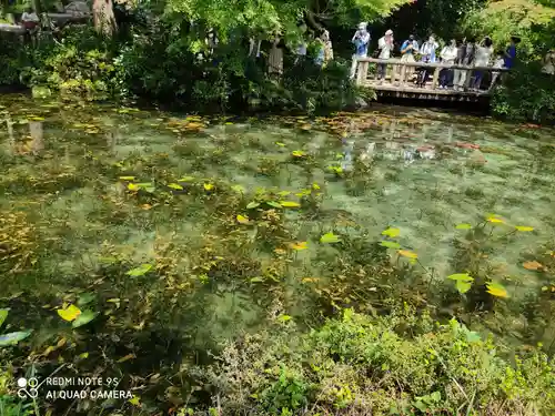 根道神社の庭園