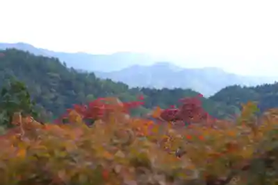 鞍馬寺(京都府)