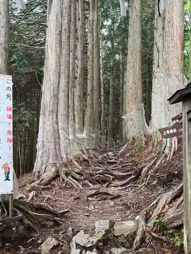 三峯神社奥宮(埼玉県)