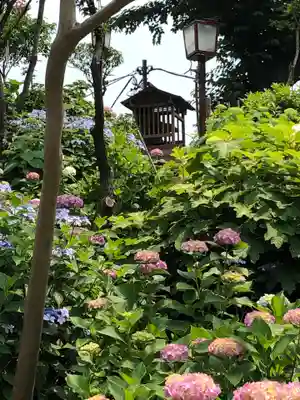 白山神社のその他建物