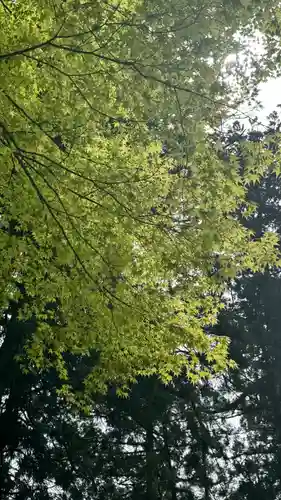 雄山神社中宮祈願殿(富山県)