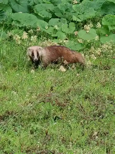 八幡神社(宮城県)