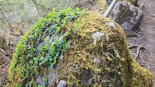 慈雲寺（並び地蔵　化け地蔵）(栃木県)