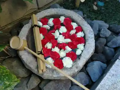 妙櫻寺(東京都)