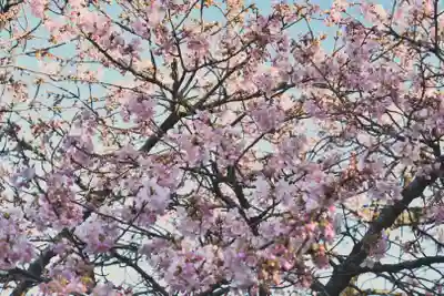 正安寺(神奈川県)