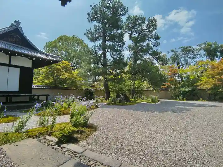 廬山寺(廬山天台講寺)(京都府)
