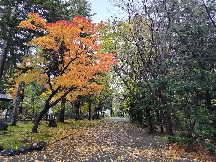鷹栖神社の自然