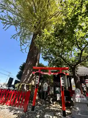鴻神社の{uncategorized: "未分類", other: "その他", undefined: "問題あり", building: "その他建物", grave: "お墓", sacred_gate: "鳥居", guardian: "狛犬", statue: "像", buddha: "仏像", history: "歴史", nature: "自然", garden: "庭園", animal: "動物", pagoda: "塔", temizu: "手水舎", mountain_gate: "山門・神門", sanctuary: "本殿・本堂", subordinate: "末社・摂社", art: "芸術", scenery: "景色", jizo: "地蔵", ema: "絵馬", goshuin: "御朱印", omikuji: "おみくじ", items: "授与品その他", amulet: "お守り", goshuincho: "御朱印帳", eats: "食事", festival: "お祭り", votive_dance: "神楽", shichigosan: "七五三参", wedding: "結婚式", experience: "体験その他", initially: "初詣", around: "周辺", anti_infection: "感染症対策"}