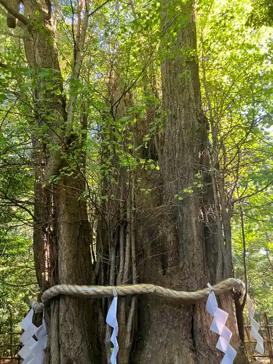 大國魂神社(東京都)