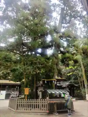 大神神社(奈良県)