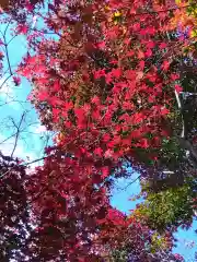 石山寺(滋賀県)