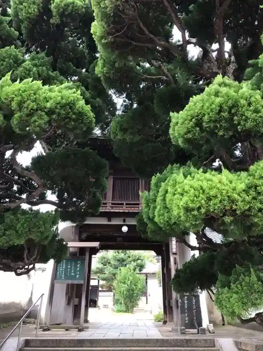 天寧寺の山門・神門