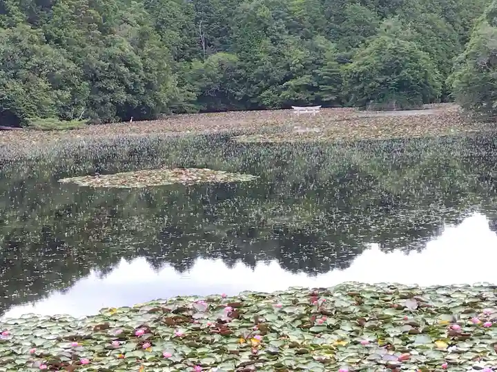 八幡神社(滋賀県)