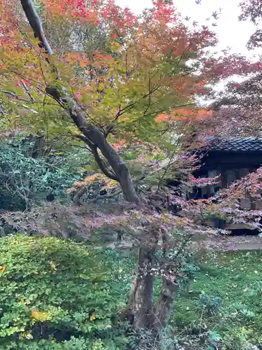 厭離庵(京都府)