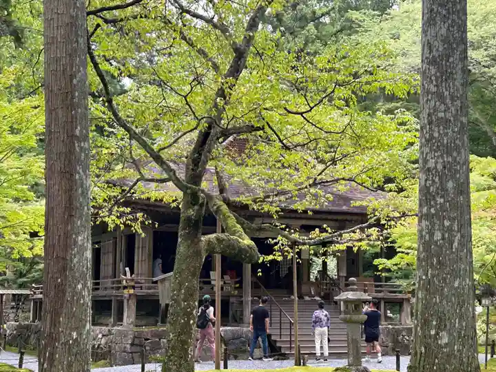 三千院門跡(京都府)