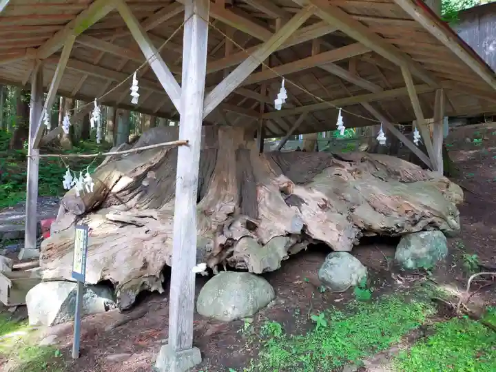 丹内山神社の庭園
