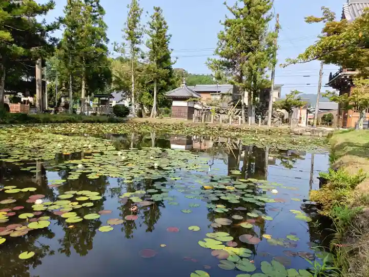 丹生大師 神宮寺の庭園