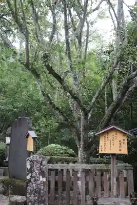 長谷寺(奈良県)