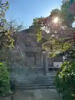 本光寺の本殿・本堂