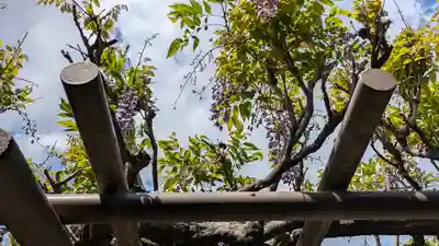 剣神社(京都府)