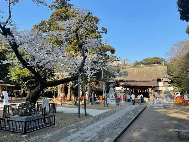 息栖神社の{uncategorized: "未分類", other: "その他", undefined: "問題あり", building: "その他建物", grave: "お墓", sacred_gate: "鳥居", guardian: "狛犬", statue: "像", buddha: "仏像", history: "歴史", nature: "自然", garden: "庭園", animal: "動物", pagoda: "塔", temizu: "手水舎", mountain_gate: "山門・神門", sanctuary: "本殿・本堂", subordinate: "末社・摂社", art: "芸術", scenery: "景色", jizo: "地蔵", ema: "絵馬", goshuin: "御朱印", omikuji: "おみくじ", items: "授与品その他", amulet: "お守り", goshuincho: "御朱印帳", eats: "食事", festival: "お祭り", votive_dance: "神楽", shichigosan: "七五三参", wedding: "結婚式", experience: "体験その他", initially: "初詣", around: "周辺", anti_infection: "感染症対策"}