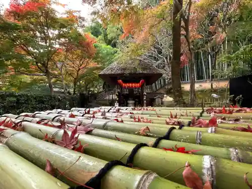 化野念仏寺の末社・摂社