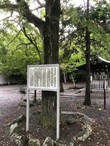 飯津佐和乃神社の歴史