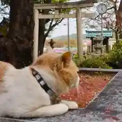 立志神社(滋賀県)