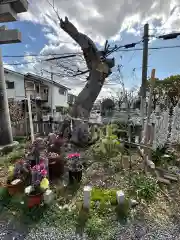 水堂須佐男神社(兵庫県)