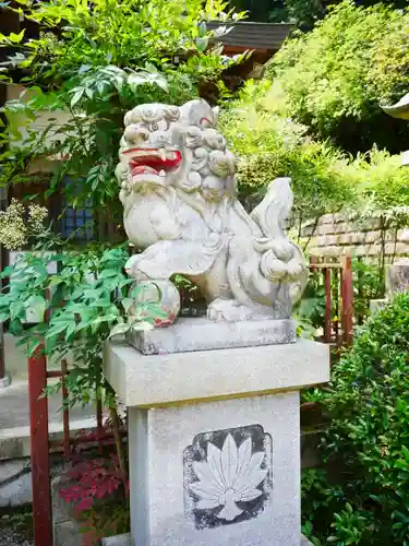 今熊神社の狛犬