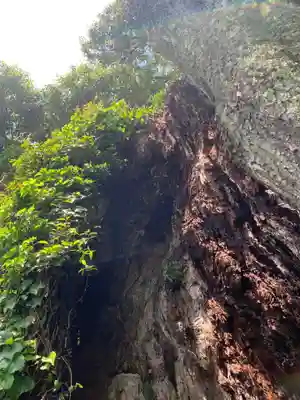 日枝神社のその他建物