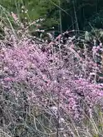 大山祇神社(福岡県)